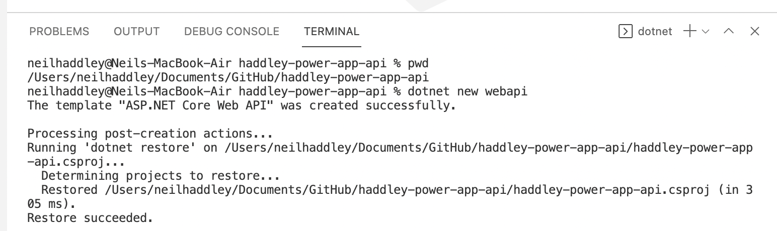 dotnet new webapi