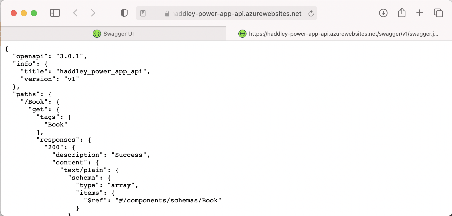 Export/Save the API description (openapi version 3 format)