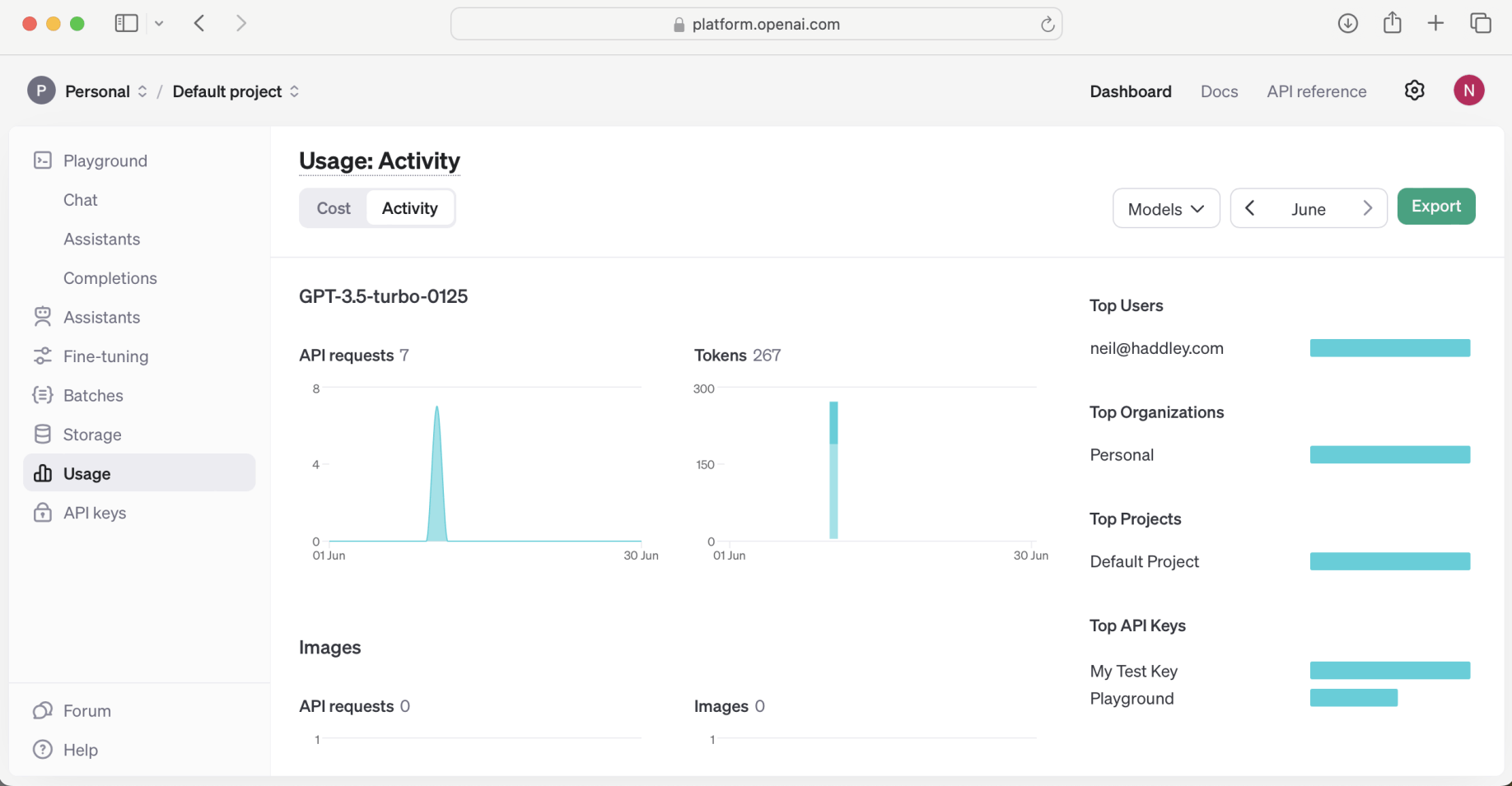 Open AI activity