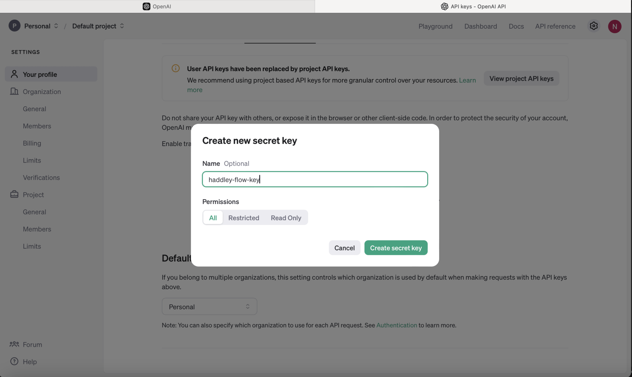 I created an OpenAI key