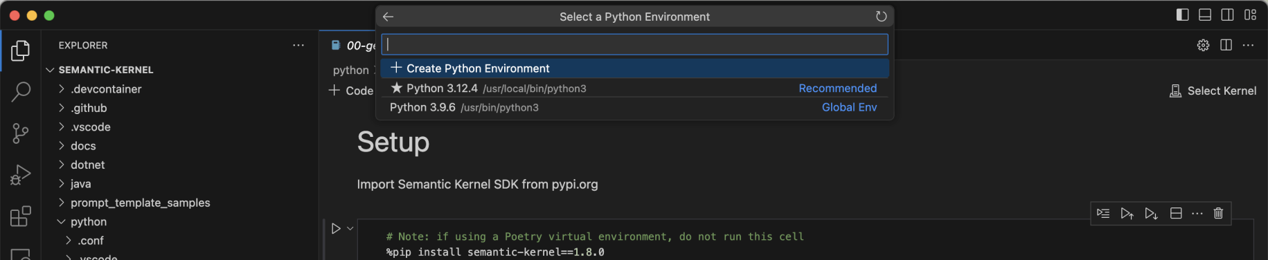 I clicked the + Create Python Environment option
