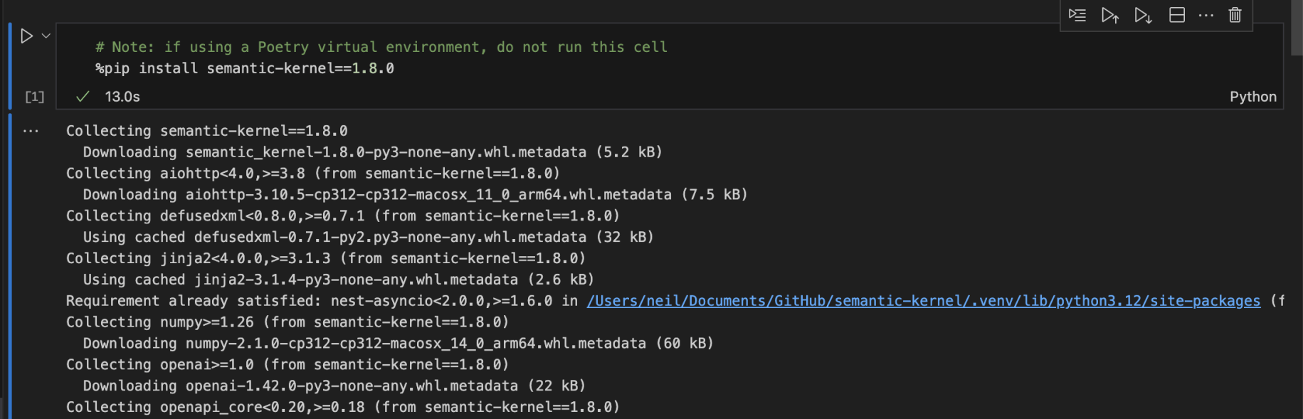 I ran the pip install