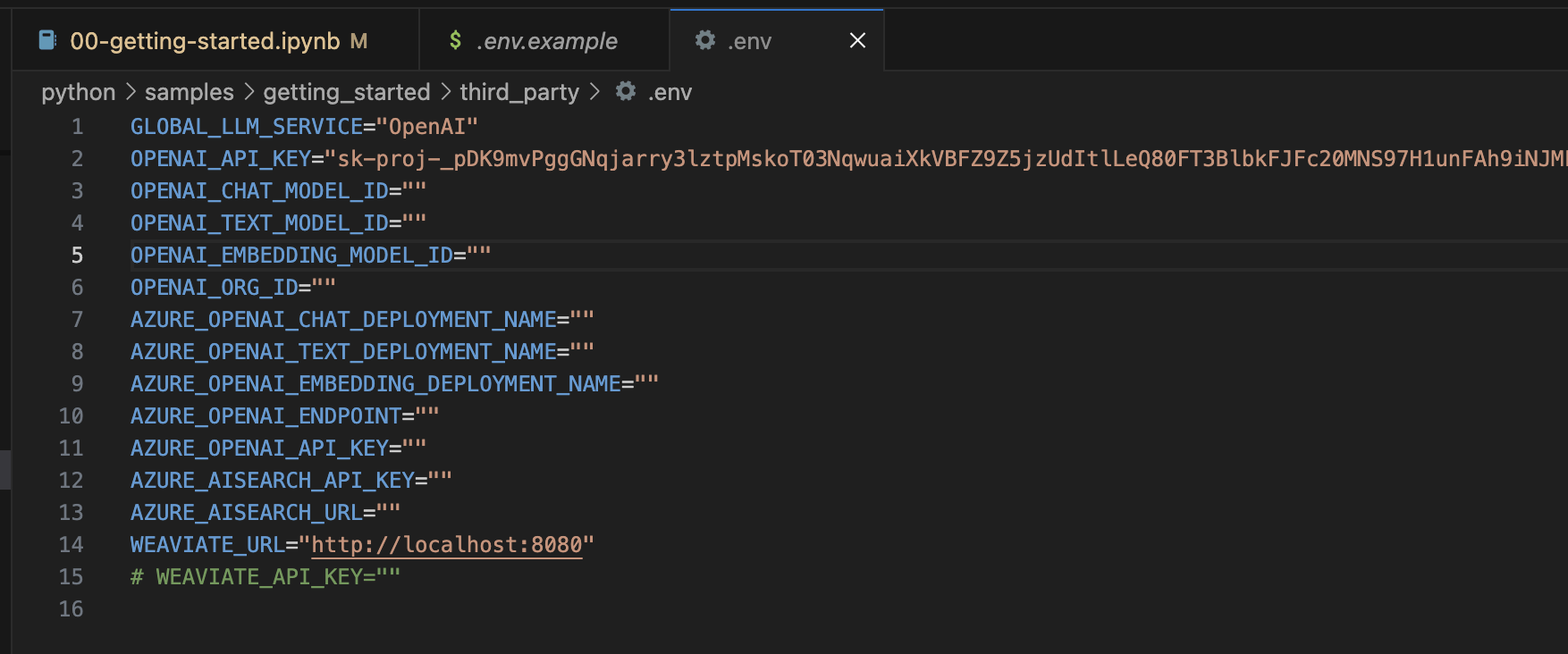 I pasted the key into the .env file