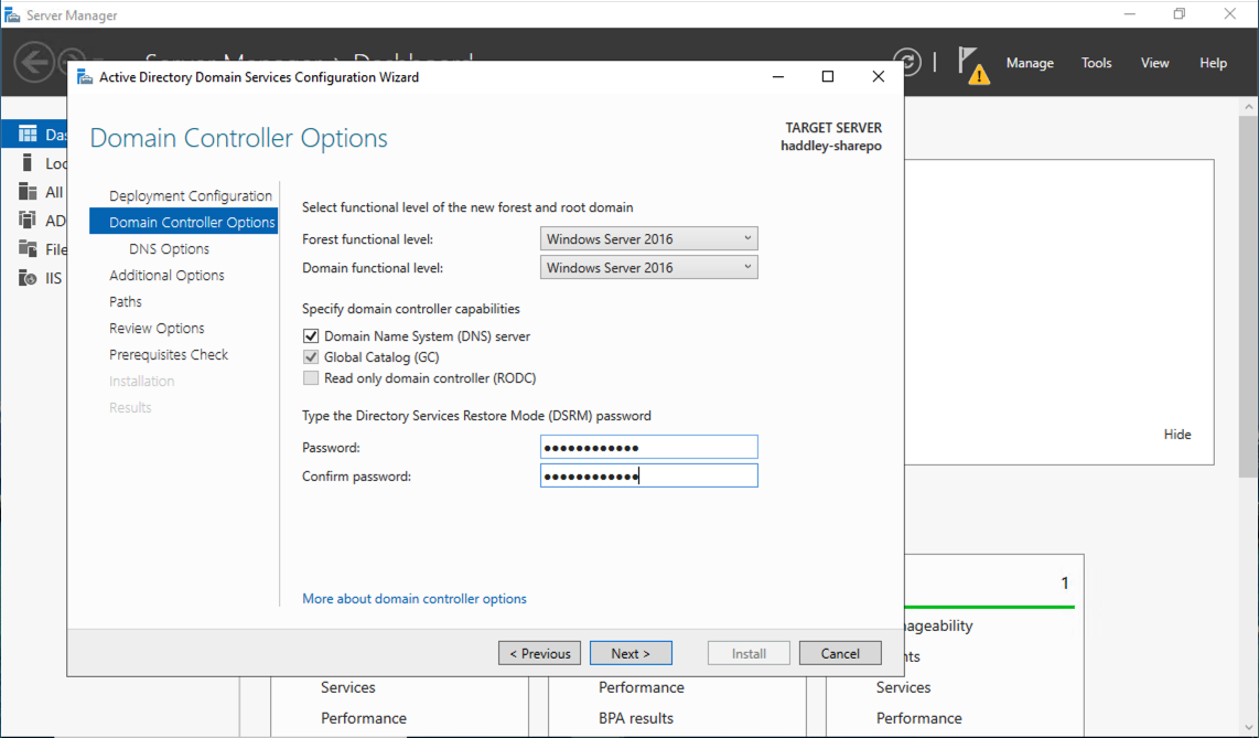 I set the forest and domain functional levels to Windows Server 2016 and entered the DSRM password