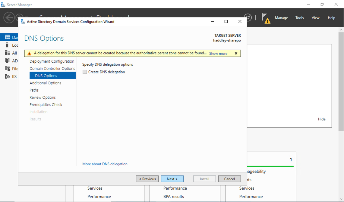 The DNS Options page showed a warning that a delegation could not be created, which I acknowledged