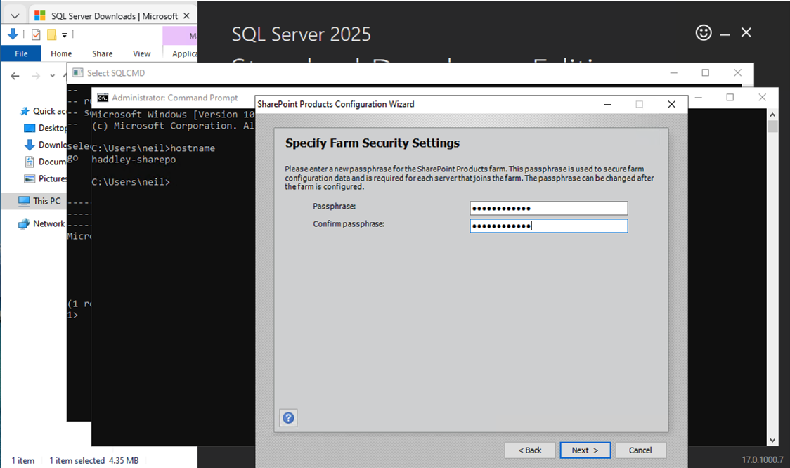 I entered and confirmed the farm security passphrase