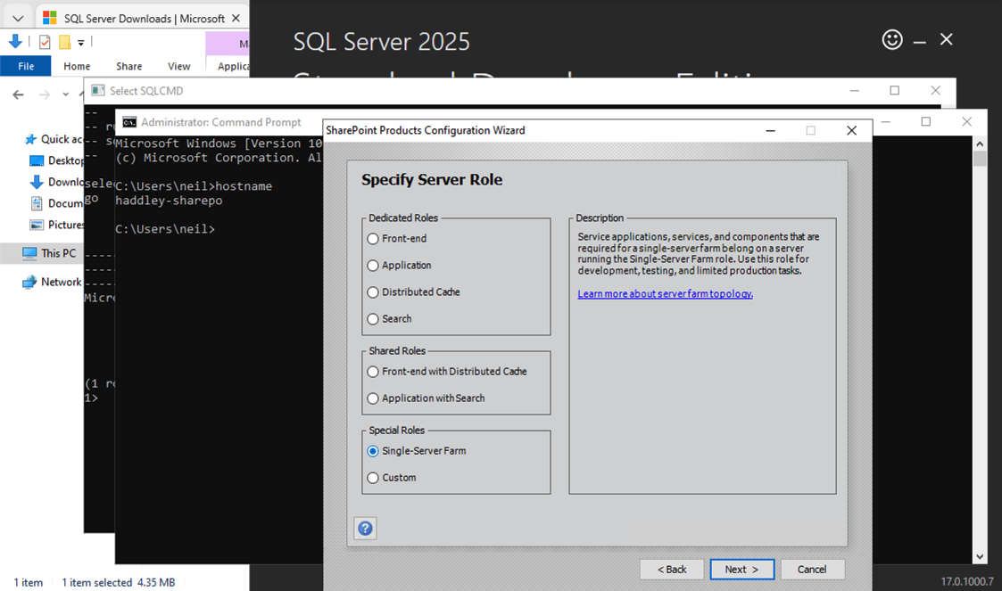 I selected Single-Server Farm as the server role