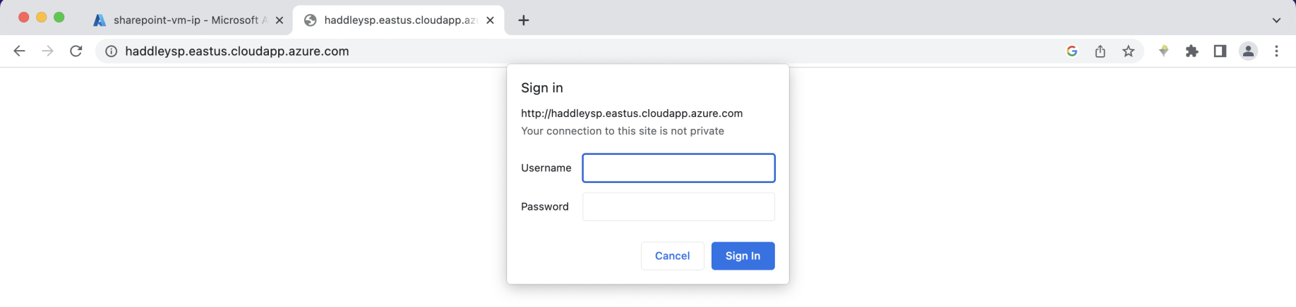 I navigated to the Team Site from my laptop using the dns address