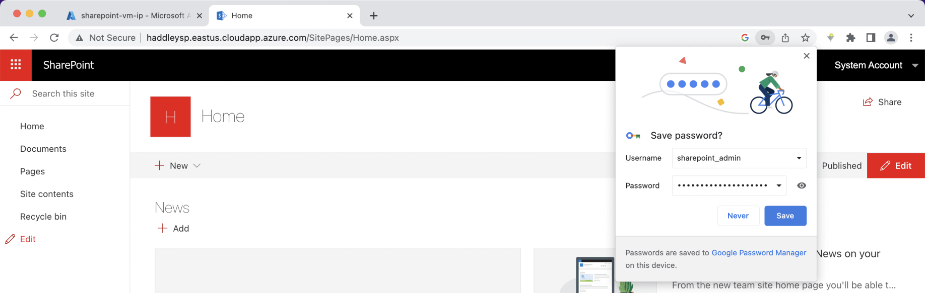 I was able to access the Team Site as the administrator