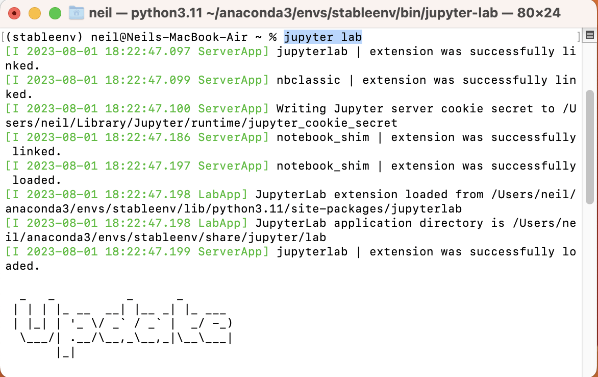 I started the jupyter lab servicejupyter lab