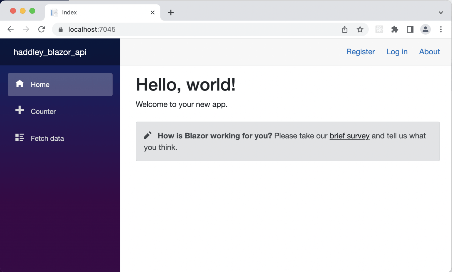 I ran the ASP.NET Core web site