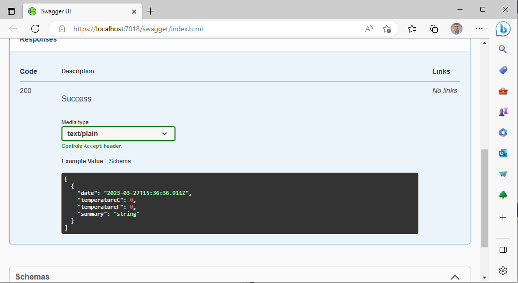 Using Swagger User Interface