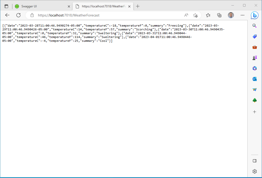 I started the API project (dotnet run)