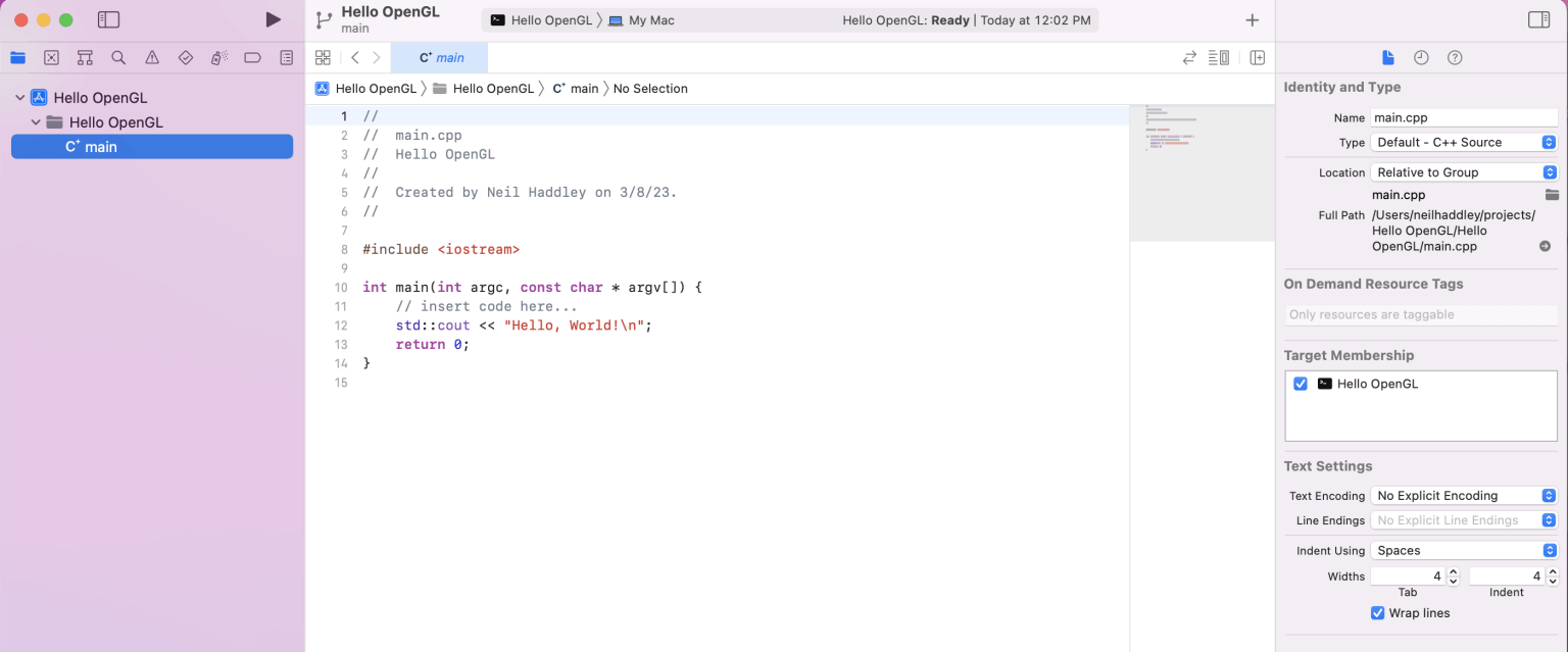Default hello world code